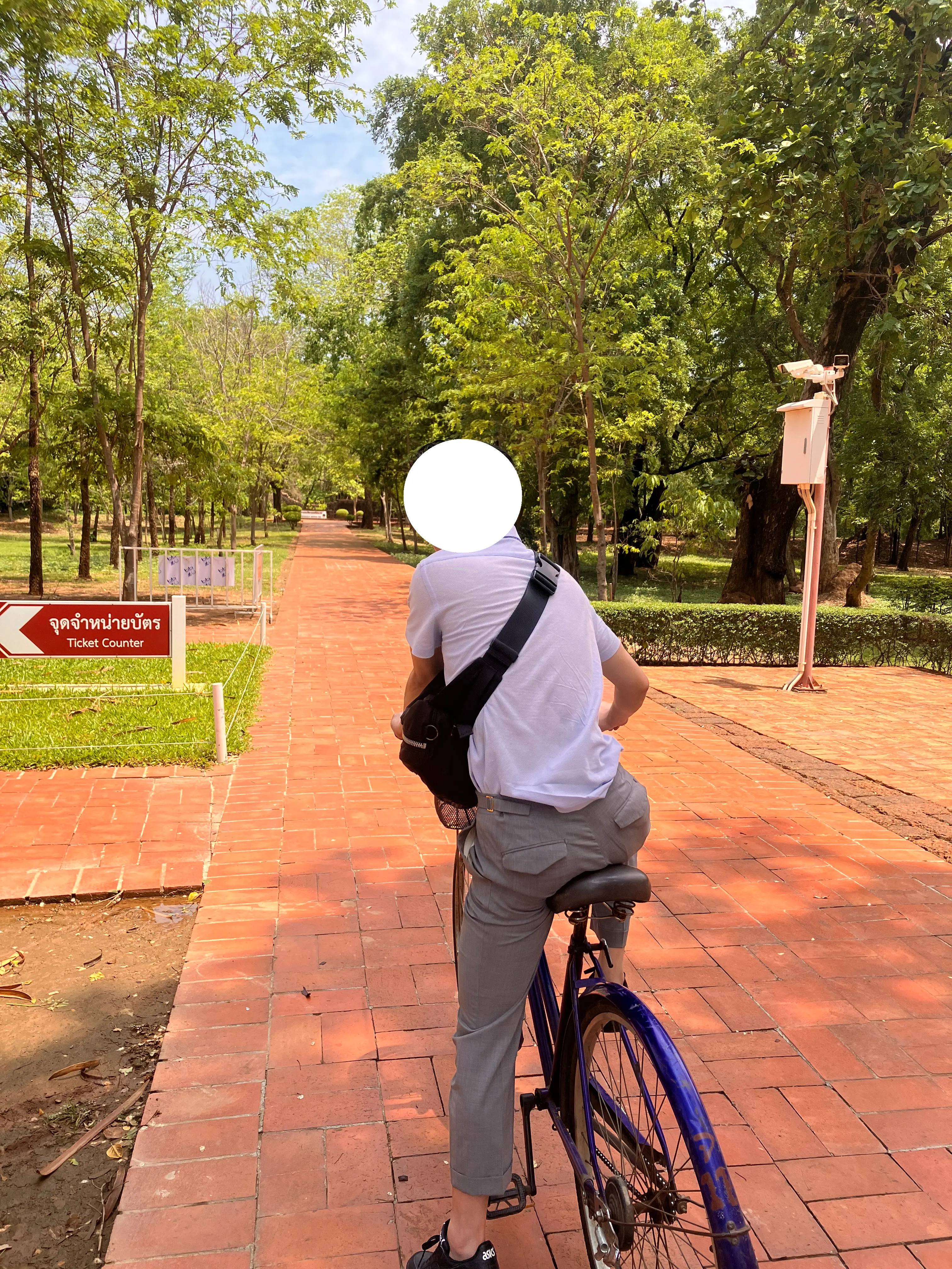久しぶりに自転車に跨る私